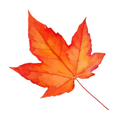 autumn leaf with style hand drawn digital painting illustration