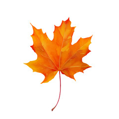 autumn leaf with style hand drawn digital painting illustration