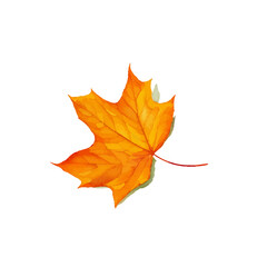 Fototapeta na wymiar autumn leaf with style hand drawn digital painting illustration