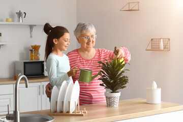 Little girl with her grandmother watering houseplant in kitchen
