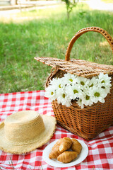 Fototapeta na wymiar Spending time in nature - picnic, accessories for picnic