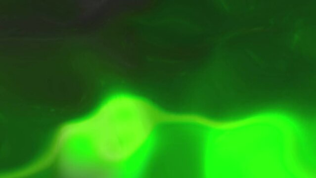 Bright green blurry gradient waves. Motion. Magic fantasy clouds background.