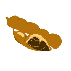 tamarind icon vector