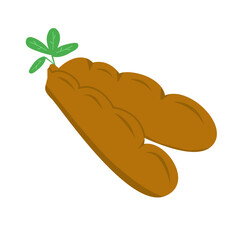 tamarind icon vector