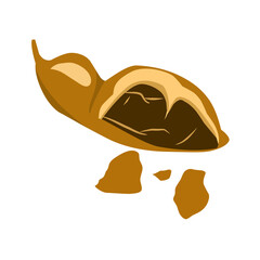 tamarind icon vector