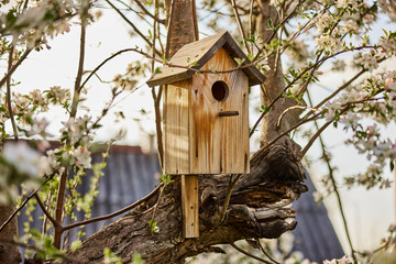 birdhouse hanging on a flowering apple tree