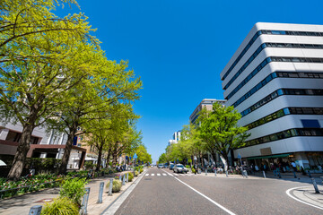 Obraz premium 新緑の横浜・日本大通りの風景（2023年4月）
