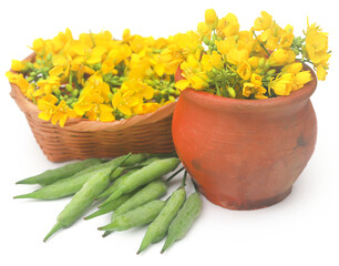 Closeup of mustard flowers and beans