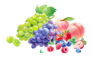 夏の果物の盛り合わせの水彩イラスト。3種のベリー（ラズベリー、ストロベリー、ブルーベリー）と桃、葡萄、マスカット。
