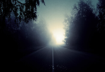 Night foggy forest road