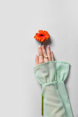 Woman with flower on light background. Hand care concept