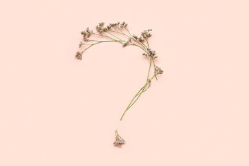 Question mark made of flowers on beige background