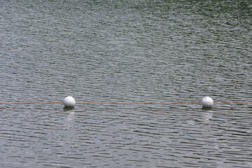Styrofoam buoys connected by a rope in water