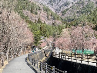 Spring is upon us. Let's go for a nice walk