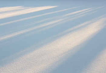 Background consisting of snow and sunlight. Sun and shadow of the trees on the white snow.