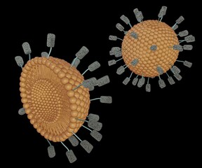 Magnetoliposome is liposome with coated magnetic nanoparticles attached outside of the lipid surface 3d rendering