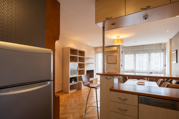 Kitchen interior with appliances and wood elements