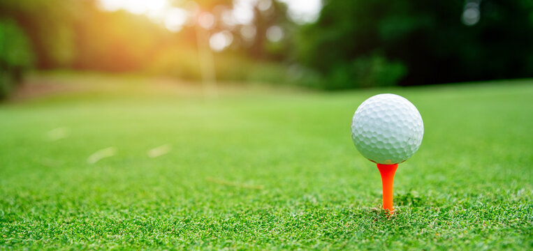 Close Up Golf Ball On Green Grass Field