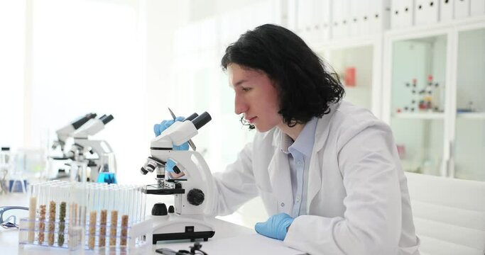 Student scientist at microscope checking quality of crop seeds. Genetically modified wheat and cereals