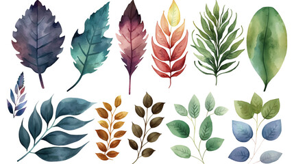 Set of watercolor colorful leaves elements. Collection watercolor colorful leaves clipart isolated