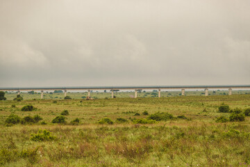 A white rhino against the background of railway line in Nairobi National Park, Kenya