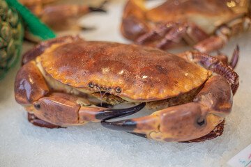 crab on the market
