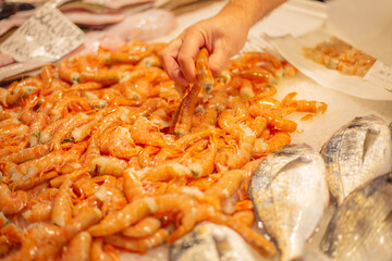 shrimp in the market