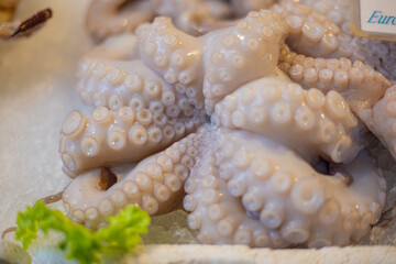 octopus on market stall © Ирина Попова