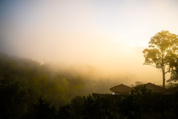 Mountain resort in Chiang Mai  The atmosphere is very fresh and natural.