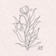 Floral iris in art nouveau 1920-1930. Hand drawn in a linear style with weaves of lines, leaves and flowers.