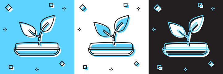 Set Sprout icon isolated on blue and white, black background. Seed and seedling. Leaves sign. Leaf nature. Vector