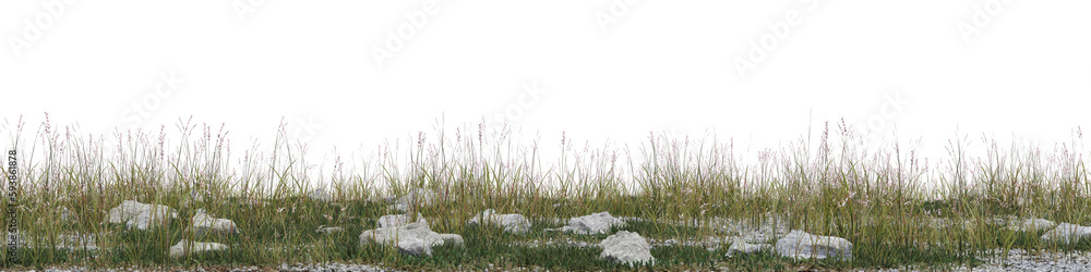 Poster evergreen grass field and rock in nature, meadow in springtime, tropical forest isolated on transpar