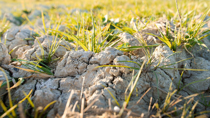 Land without vegetation and arid during summer