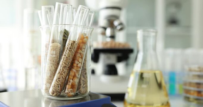 Test tubes with seeds of breeding plants and microscope in lab. Research of agricultural grains and seeds in laboratory