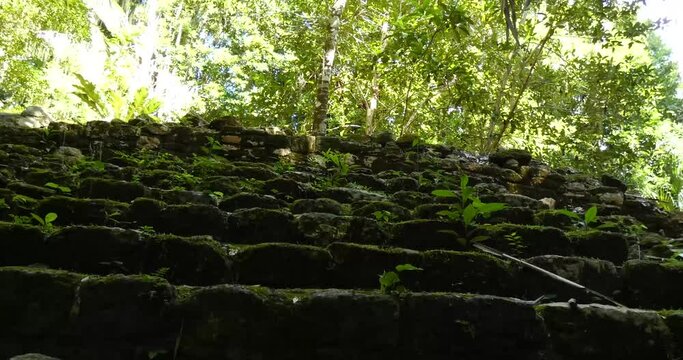 The Mayan ruins of Chacchoben covered by the dense vegetation of the tropical forest, Quintana Roo, Mexico