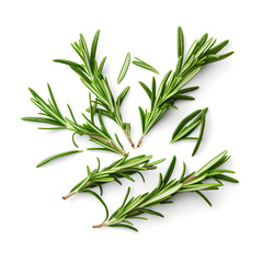 White background image of a sprig of rosemary.