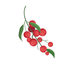 Concept Winter Christmas botany branch with berry. This illustration features a flat, vector design of a winter branch with red berries. Vector illustration.