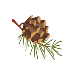 Concept Autumn branch with cone. This illustration is a flat vector design featuring an autumn branch with a cone on a white background. Vector illustration.