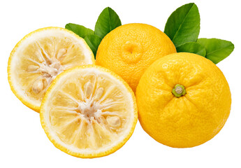 Kochi Yuzu orange isolated on white background With work path, Yellow Yuzu Orange fruit isolated on...