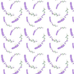 Seamless pattern with lavender flower. Pattern with herbs. Vector illustration with plants.
