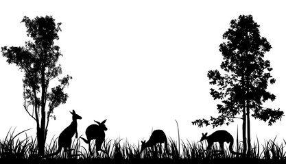 Australia silhouette of four kangaroos