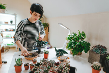Young woman planting a succulent in a flower pot