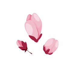 Concept Cherry blossom flowers. The cherry blossom flower is rendered as a vector graphic, with smooth curves and crisp lines that can be scaled without losing quality. Vector illustration.