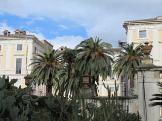 Fototapeta na wymiar Rome Botanical Garden View with Palms and Buildings, Italy