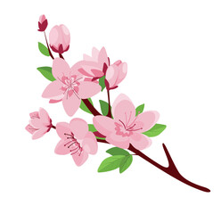 Concept Cherry blossom flowers. The flat, two-dimensional style of this cherry blossom flower illustration emphasizes the graphic quality of the flower and its petals. Vector illustration.