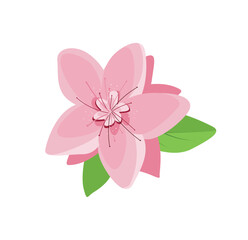 Concept Cherry blossom flowers. The use of soft, pastel colors in this illustration of a cherry blossom flower creates a sense of calm and serenity. Vector illustration.