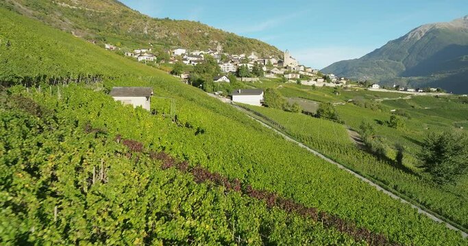 aerial view of terraced vineyards in the swiss Valais canton