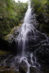 Obraz premium 御船の滝