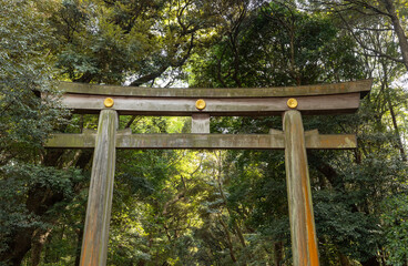 明治神宮 鳥居