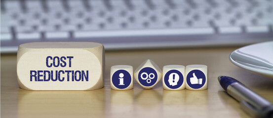 Cost reduction	